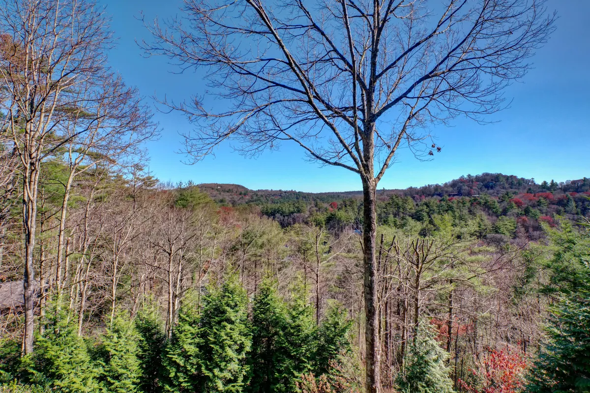 A serene mountain vista with distant peaks, barren trees, and evergreen foliage stretches out under an expansive sky. The peacefulness of the scene evokes the sense of seclusion and natural beauty that complements a day spent enjoying downtown Highlands.